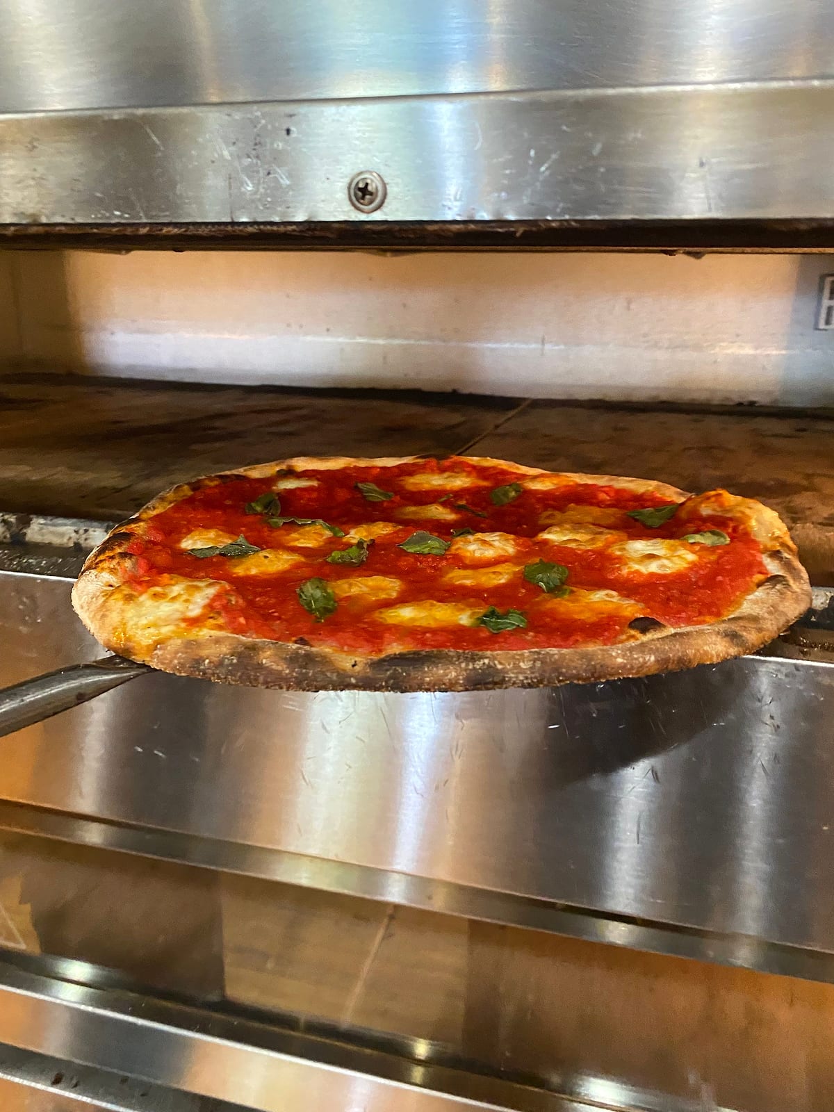 A margherita pizza with basil on a peel at the mouth of the oven